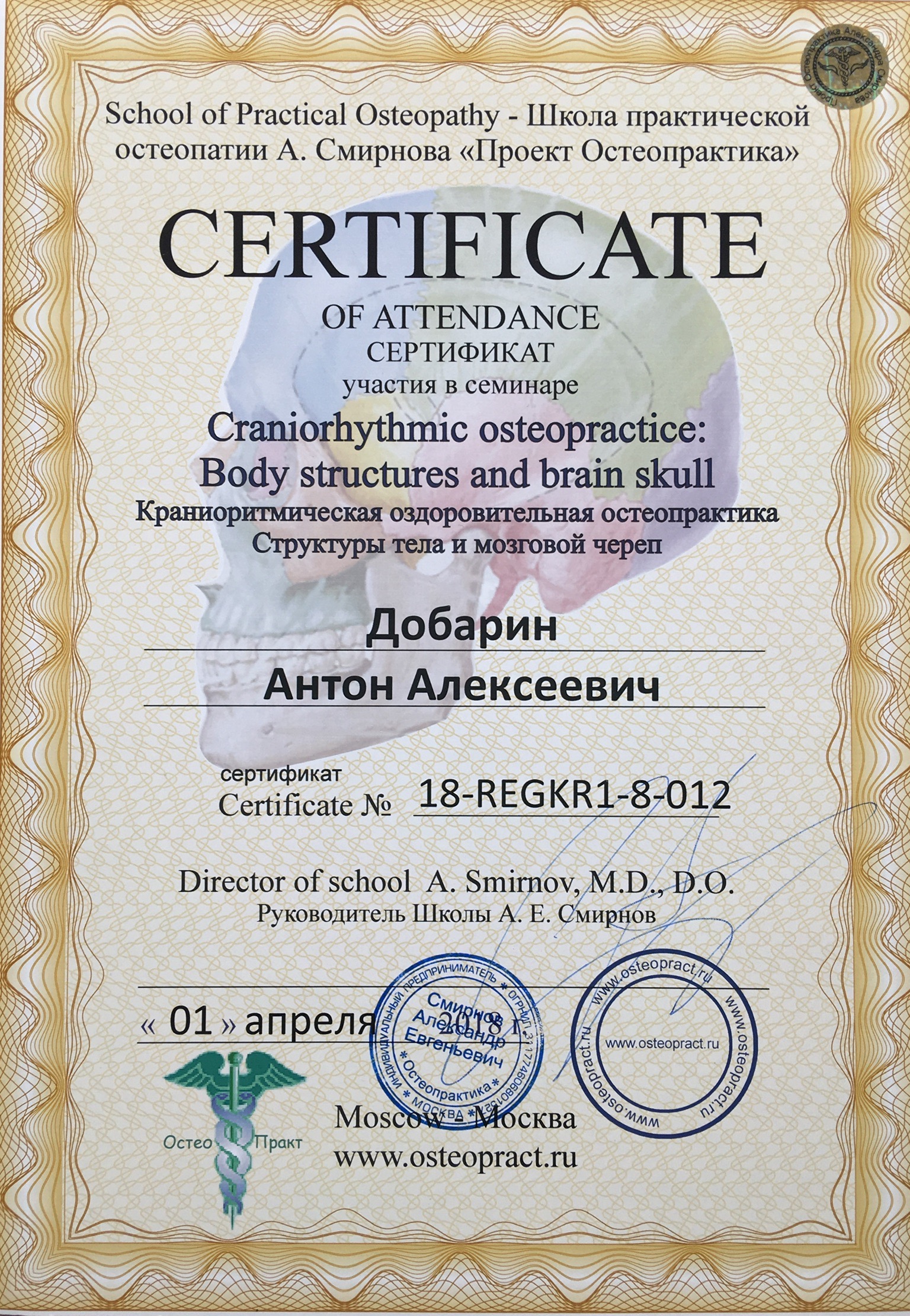 Сертификат и диплом Антона Добарина об обучении остеопатии и биодинамике — 1