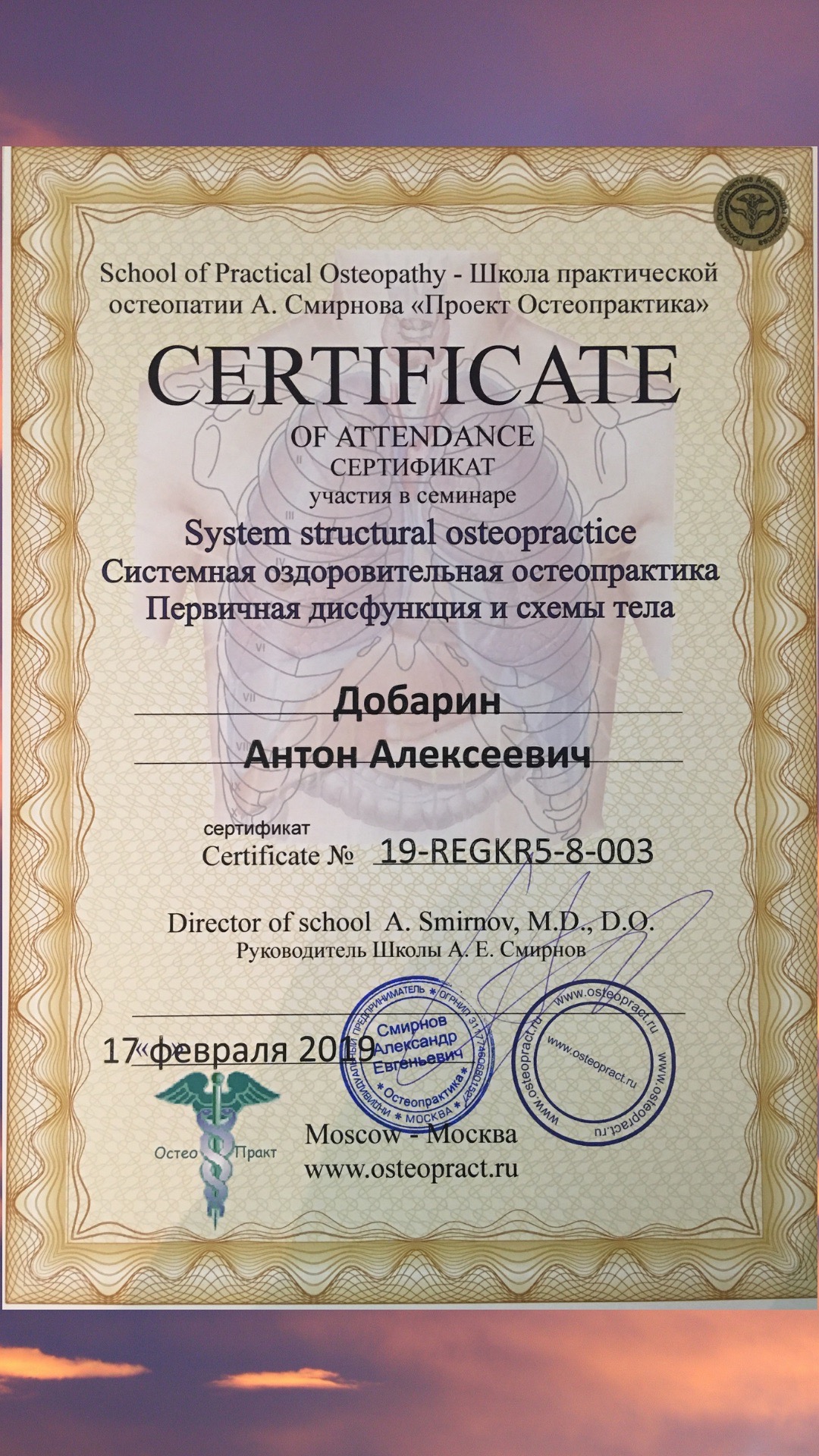 Сертификат и диплом Антона Добарина об обучении остеопатии и биодинамике — 5